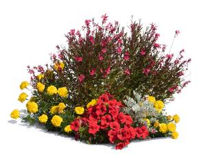 cut out plants for architectural visualization